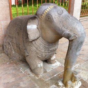 May be seen as a symbol of wisdom